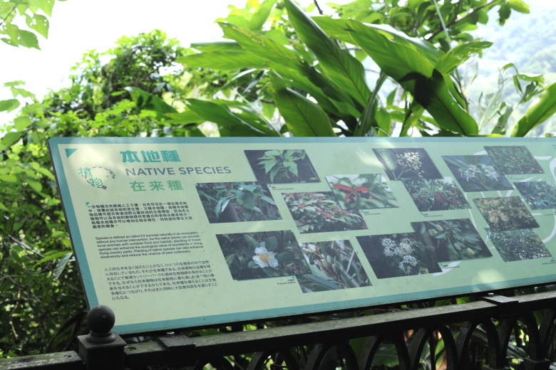 Plate 'Native Species'