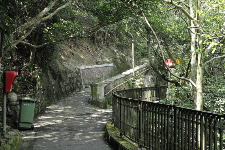 Road splits into two