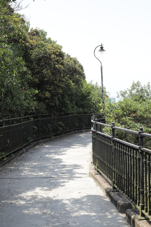 Lugard Road and a streetlight