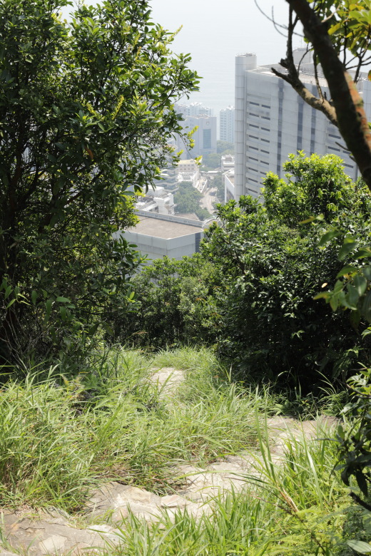 Narrow path going downhill