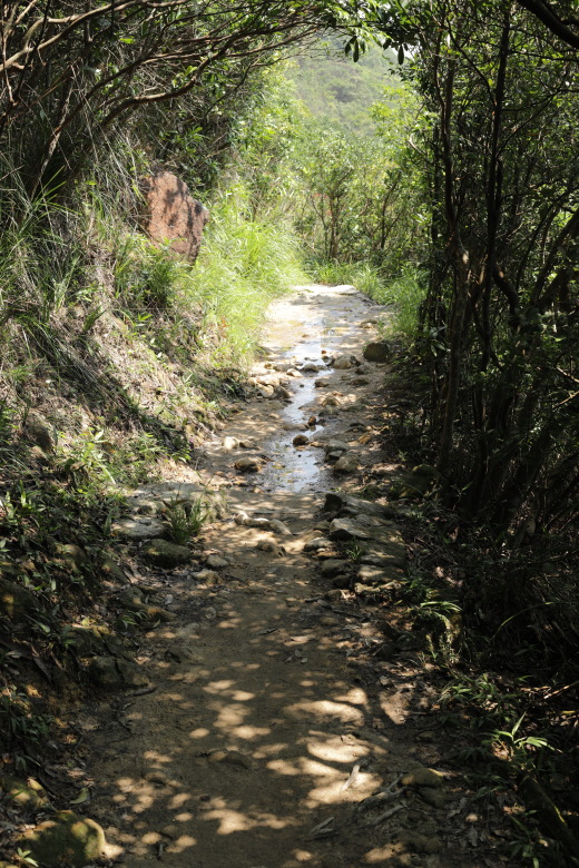 Wet trail