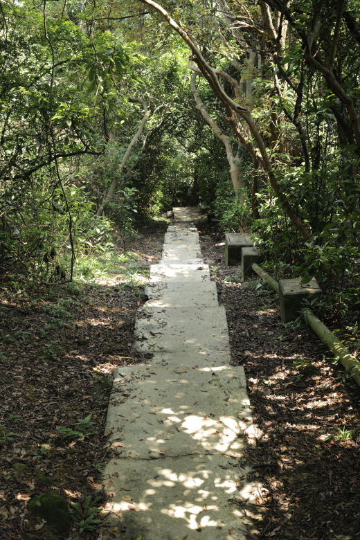 Stairs leading downwards