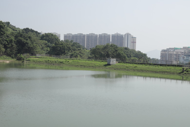 Reservoir edge