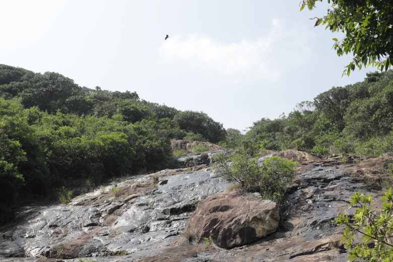 Cliffs with running water and black kite