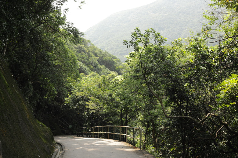 Road leading down to the reservoir