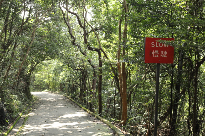 Road with 'SLOW' sign