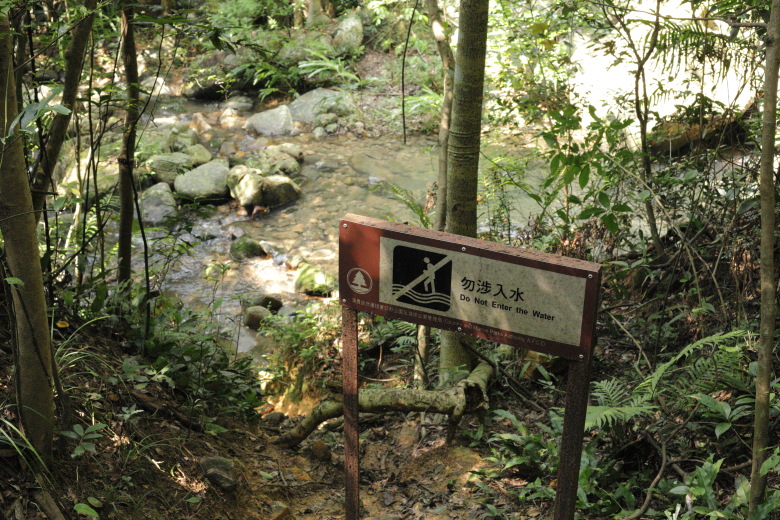 A stream and a sign 'Do Not Enter the Water'
