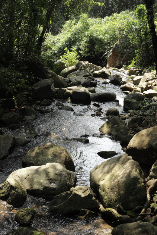 A stream