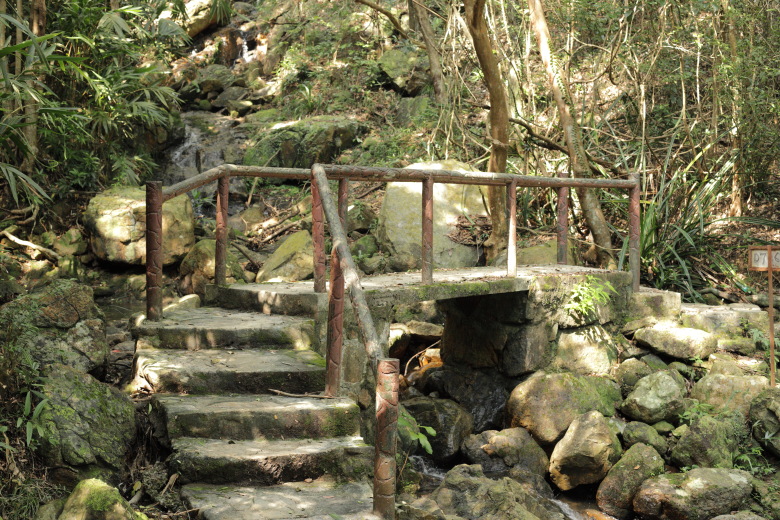 A small bridge over a stream