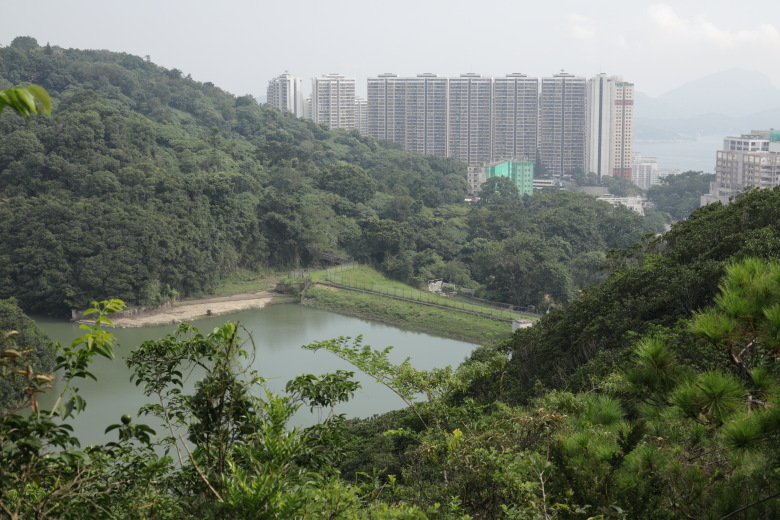 Overlooking the reservoir