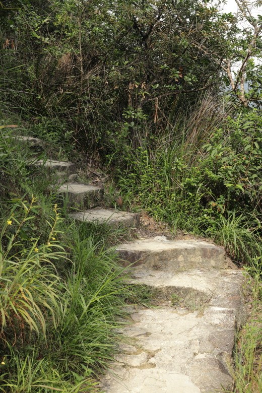 Stairs upwards to the left