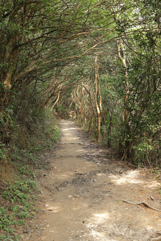 Path