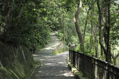 Road splitting