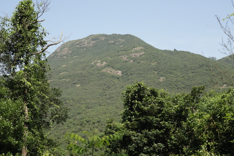 View of Mount High West