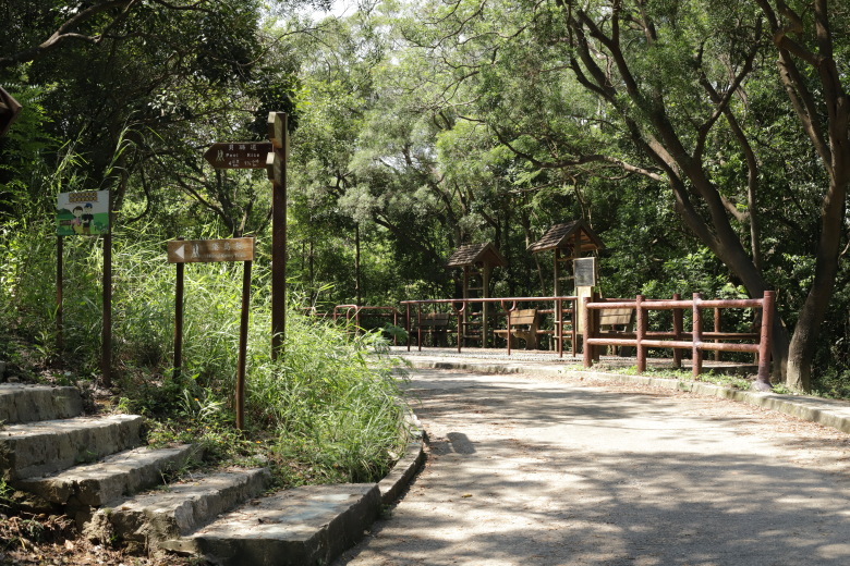 Trail turning left from the road