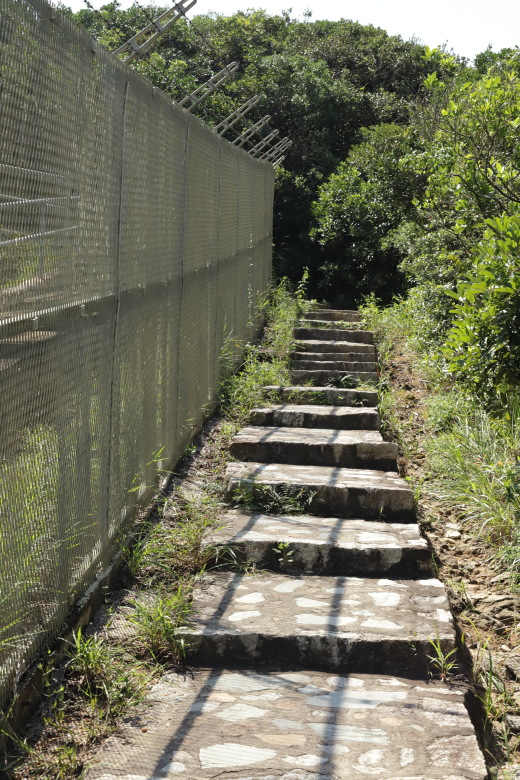 Path with fence on the left hand side
