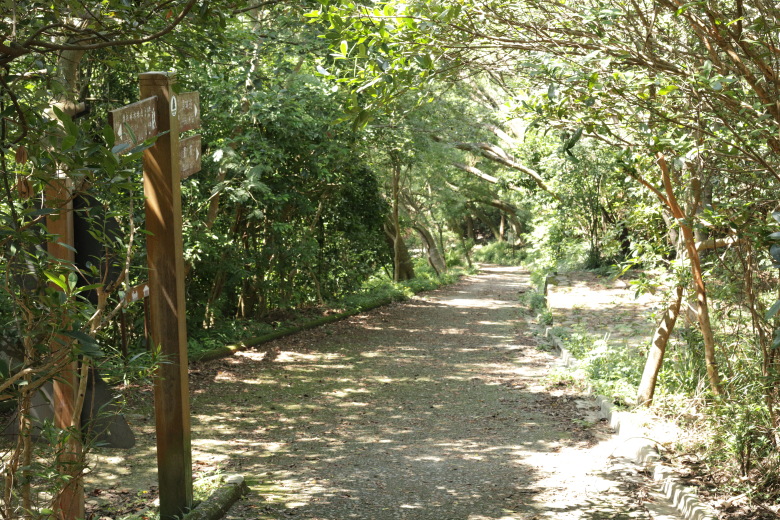 Road