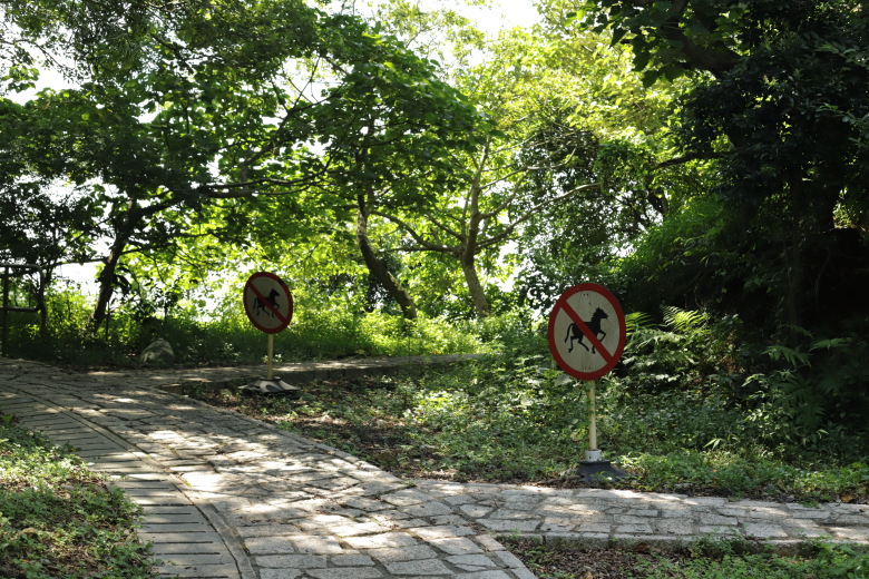 Two offshoots from the main trail