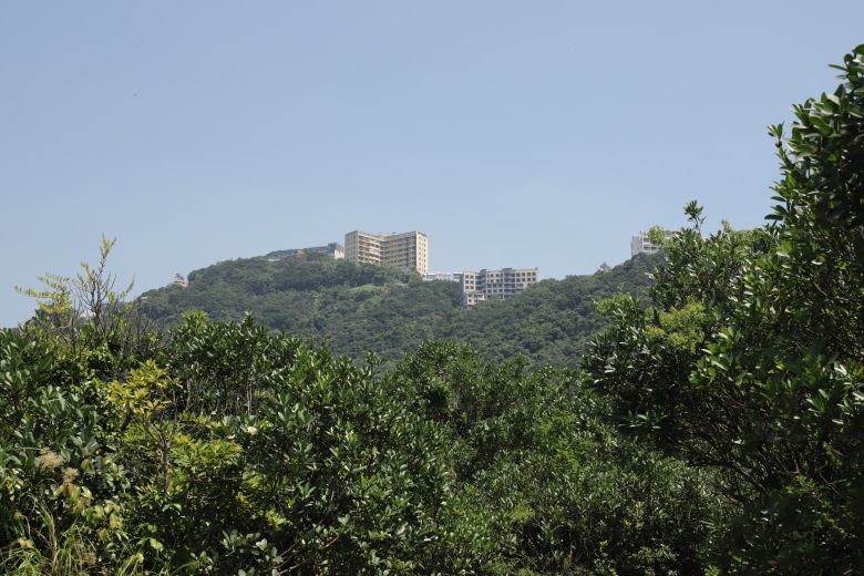 Buildings on mountain
