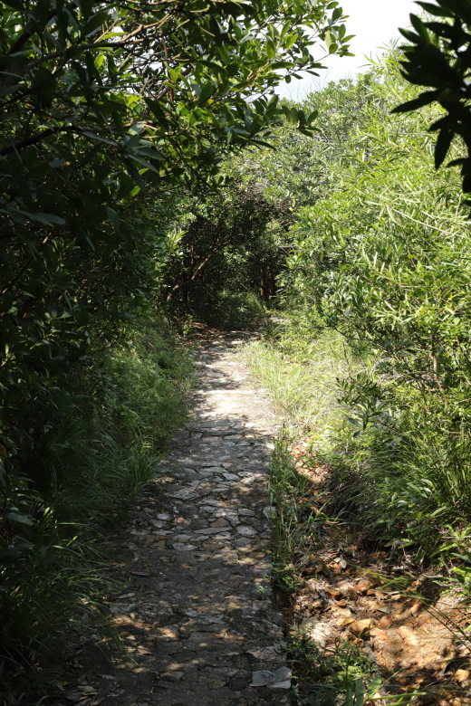 Small path