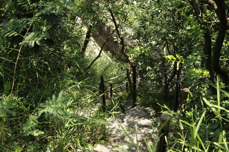 Narrow stairs going down