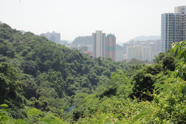 Valley with Aberdeen in background