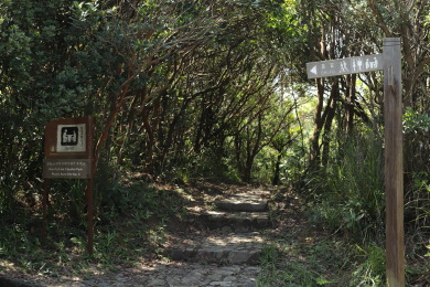 Sign 'Pok Fu Lam Country Park Picnic Area Site No. 3'