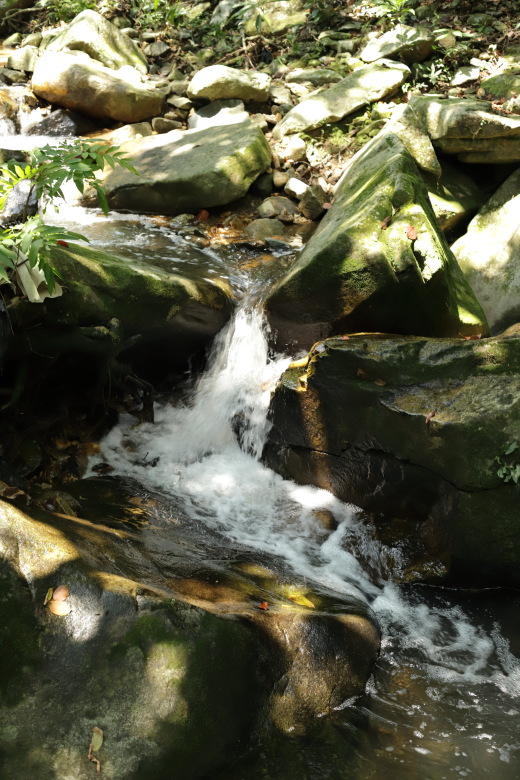 A stream