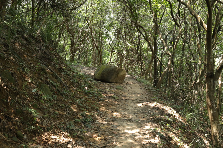 A rock in the middle of the trail