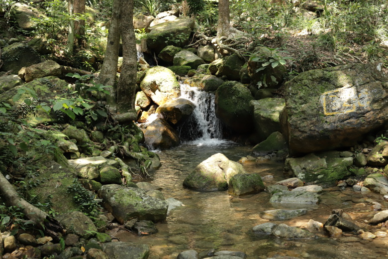 A stream