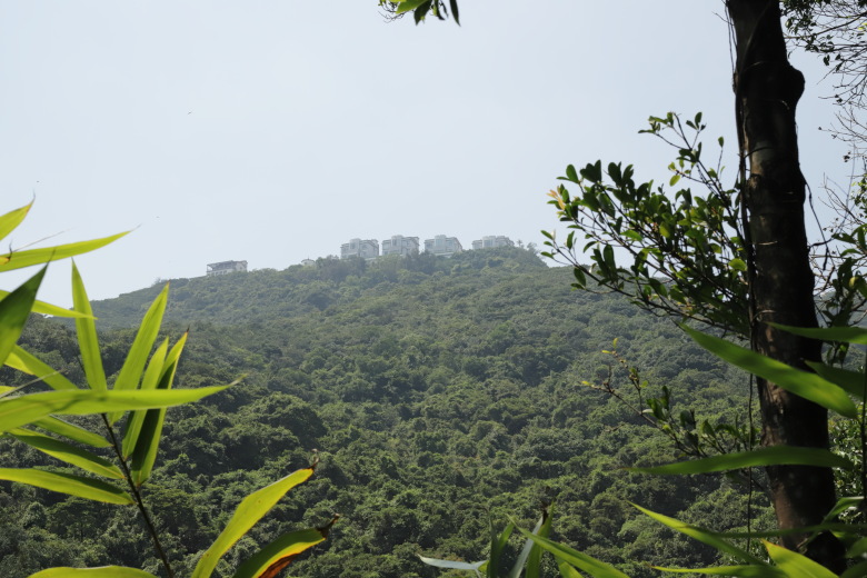 Houses on a hill