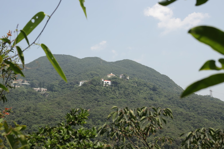 Houses on a hill