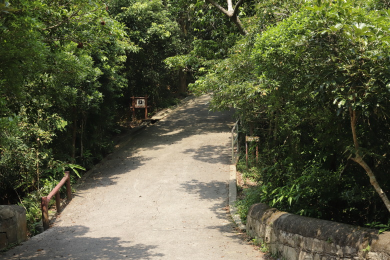 Car road going up