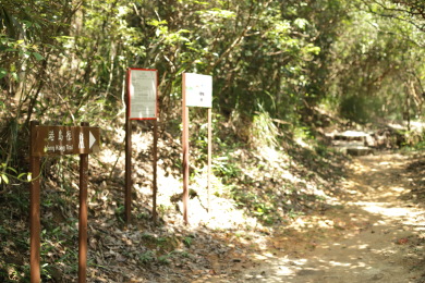 Sign 'Hong Kong Trail' leading into the forest
